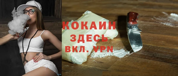 винт Абаза