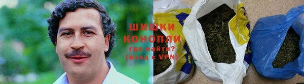 винт Абаза