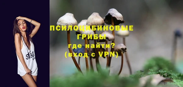 винт Абаза