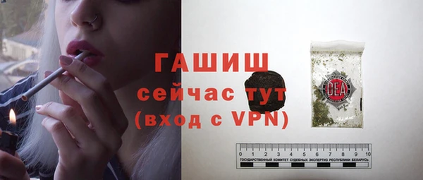 винт Абаза