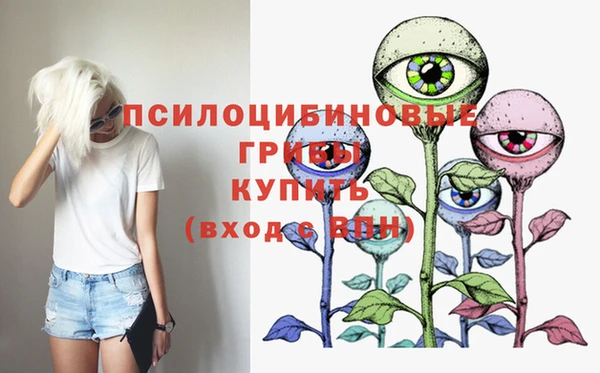 бошки Абинск