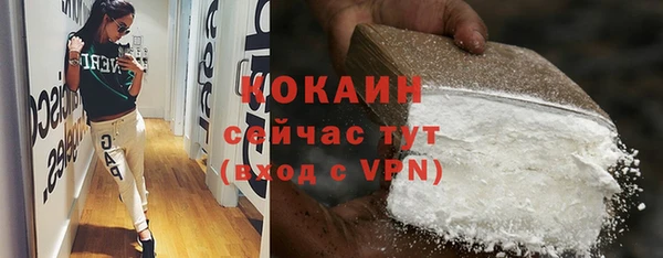 винт Абаза
